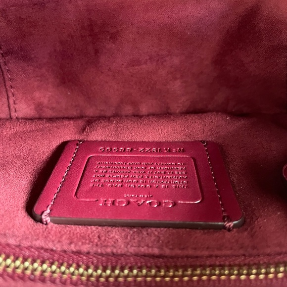 Lunar New Year Camera Bag 16 with Horse And Carriage Print and Varsity Stripe. - Picture 16 of 16